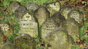 Pet cemetery near me uk. The Rising Popularity Of Pet Crematoriums And Cemeteries Bbc News