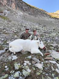 Mountain Goat Hunting — Capitol Peak Outfitters