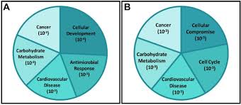Sql> alter system kill session '753,8910' Comparative Genomic Analyses Identify Common Molecular Pathways Modulated Upon Exposure To Low Doses Of Arsenic And Cadmium Bmc Genomics Full Text