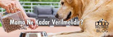 kopek mamasi ne kadar verilmeli