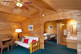 Feel at home in denali. Denali Cabins Base Camp To Adventure Near Denali National Park