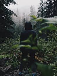 Andrew Spencer Dark Photography Photo Green Aesthetic
