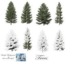 Pine Trees Png Stock By Mysticmorning On Deviantart Tree Photoshop Pine Tree Tattoo Palm Trees Painting