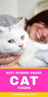 Human Grade Cat Foods Use Only Ingredients That Are Certified Edible For Human Consumption By The Usda Find Out Which Ones Are Human Grade Cat Food Cat Care