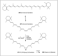 Image result for Voacanga chalotiana