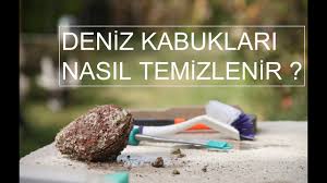 Tüm kalıntıları duştan ve kireçten temizleyin. Kabuklari Nasil Temizlenir Kendin Yap