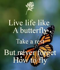 Live Life Like A Butterfly Take A Rest But Never Forget How To Fly Butterfly Quotes Live Life Life