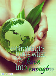 Gratitude Turns What We Have Into Enough World Environment Day Environmental Science Earth Day