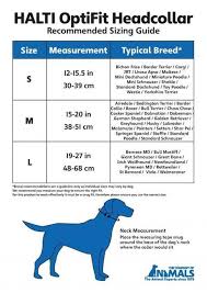 halti optifit head collar for dogs stops pulling on the leash dog training obedience dogs large dog breeds