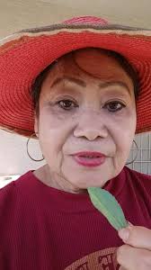 Stevia plant found at Harlow Gardens