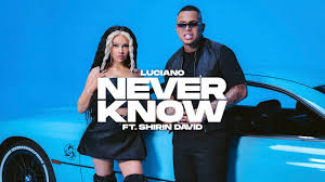 Deutsche rapperin, sängerin und webvideoproduzentin. Luciano Feat Shirin David Never Know Youtube