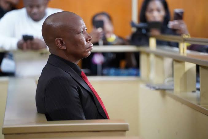 Malema sentence affirms that politicians are not above the law – AfriForum - AfriForum