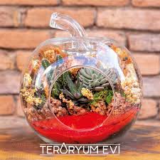 Teraryum Modelleri Teraryum Sonbahar Terrarium