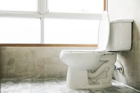 Do not worry, there is not a scary snake in your commode! Causes And Solutions For Whistling Sounds In The Toilet Action Plumbing