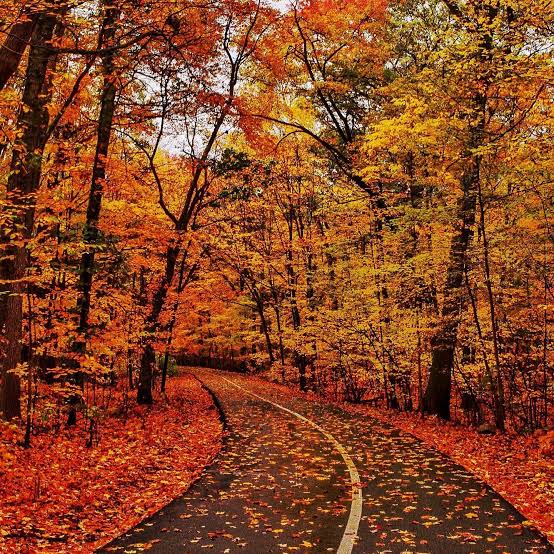 Today is first day of fall, but it won't feel like autumn in the West