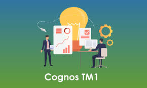  ibm cognos tm1 training online