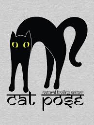 Women S Fitted V Neck T Shirt Cat Yoga Pose 1 Cat Pose Cat Yoga Buy A Cat