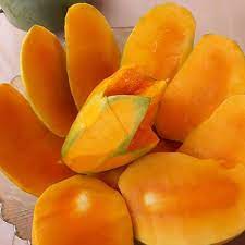 Buah mangga ini mempunyai isi yang tebal kekuningan. Pin Di Bebas