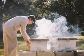 Squash, cucumbers, apples, melons and strawberries are just a handful of the many crops that rely on bee pollination. Backyard Beekeeping Edible Northeast Florida