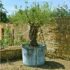 New free store pickup in stock $39.99 quick view. The Circular Copper Garden Planter Very Large Architectural Heritage
