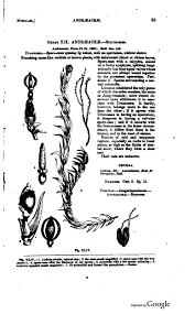 Lindley John 1853 The Vegetable Kingdom Or The Structure Classification And Uses Of Plants Illustrated Upon The Natural System 3d Ed London Bradbury And Evans