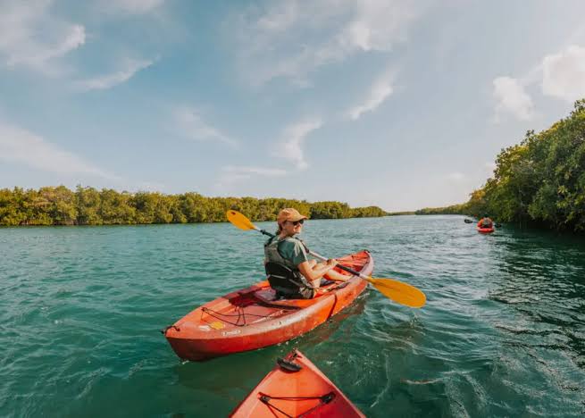 Guided kayaking experience booked through Viator, AI generated