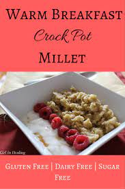 Warm Breakfast Crock Pot Millet Gluten Dairy Sugar Free Crohn S Disease Ulcerative Colitis Ibd Recipe Warm Breakfast Dairy Free Crockpot