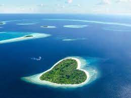 We had the best stay ever!!! Interesting Things To Do In Maldives Times Of India Travel
