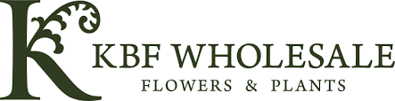 Mums and other fall annuals are in stock now! Wholesale Flowers Kittelberger Florist Rochester Webster Ny