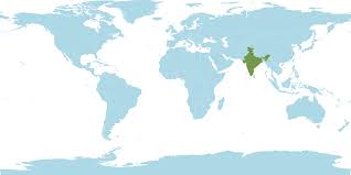 Image result for Coelachne