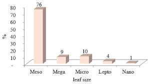 Image result for Dewevrella cochliostema