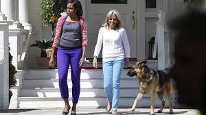 They are the first dogs to occupy the oval office since the departure of bo and sunny, the obamas' portuguese water dogs, in 2016. Hunde Im Weissen Haus Joe Bidens First Dogs Champ Und Major
