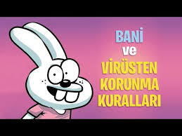 Soguk Havalarda Sokak Hayvanlarina Nasil Yardim Ederiz Youtube