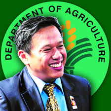 Usec. Ariel T. Cayanan