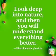 Some of the quotes on this page were submitted to me by visitors, and not all have been verified for original source or wording. 31 Earth Day Quotes To Share Reader S Digest