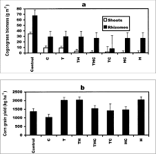 Image result for Euclasta condylotricha
