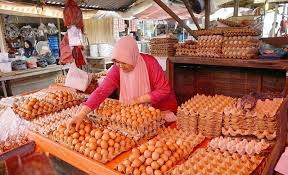Update harga telur ayam yogyakarta terbaru dapat anda cek langsung ke pasar. Harga Telur Ayam Kembali Naik