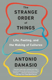 Check spelling or type a new query. Antonio Damasio Descartes Error