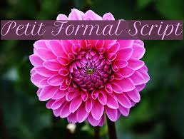 Use the petit formal script font family from google fonts in your expo app. Petit Formal Script Font Ffonts Net