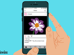 Does Instagram Notify You Of Screenshots Taken By Someone Else