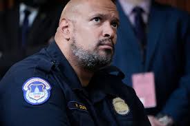 Maryland primary: Democrat Harry Dunn loses congressional race to Sarah  Elfreth