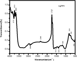 Image result for Vernonia nepetifolia