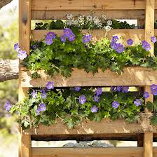 The gardening channel with james prigioni. Upcycled Vertical Pallet Planter Garden Gate