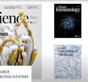 Creating Art for Journal Covers | Office of Public Affairs