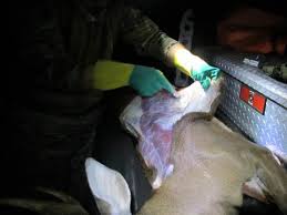 Steve Primm- All I can Say is AWESOME!