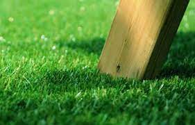 Things To Consider Before Installing Artificial Turf Installing Artificial Turf Artificial Turf Artificial Lawn