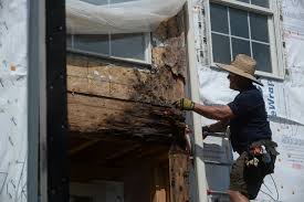 We did not find results for: Water Damage From Bad Construction Destroys Homes And Dreams