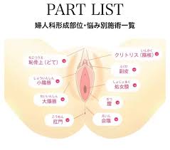 詳細レポ】クリトリスの手術を受けて来ました！ | エマの日記【アラフォー会社売却セカンドライフ】