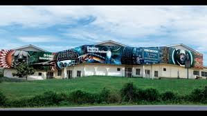 Limkokwing university of creative technology. Want To Study At Limkokwing University Of Creative Technology Studyco