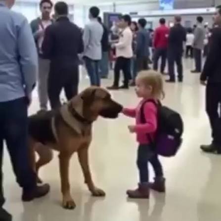 🚨Security Dog Started Barking at a Child’s Backpack—What Was Inside Made  the Whole Airport Go Silent Watch: see more | Today movies | Facebook